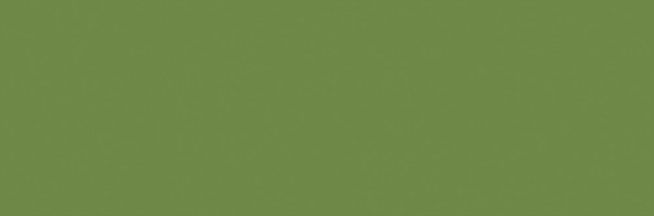 Green Matt. Glazed Porcelain